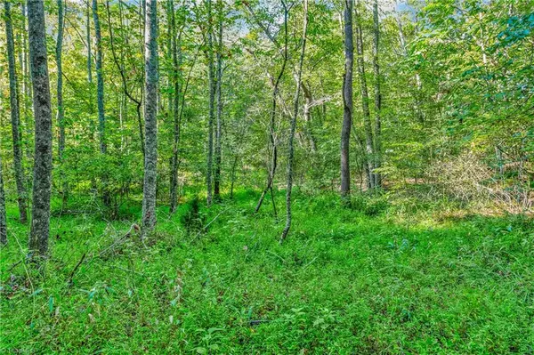 Westfield, NC 27053,0 Sunset Ridge RD