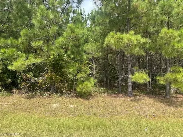 Tract 15 Belford Church RD, Jackson Springs, NC 27281