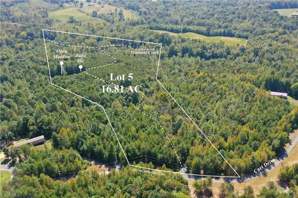 Reidsville, NC 27320,Lot 5 Cart DR