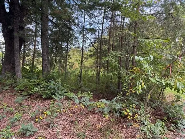 Moravian Falls, NC 28654,TBD Crews RD