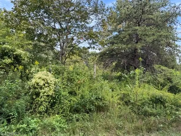 Moravian Falls, NC 28654,TBD Crews RD