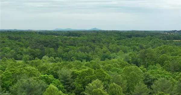 Thurmond, NC 28683,TBD S Center Church RD