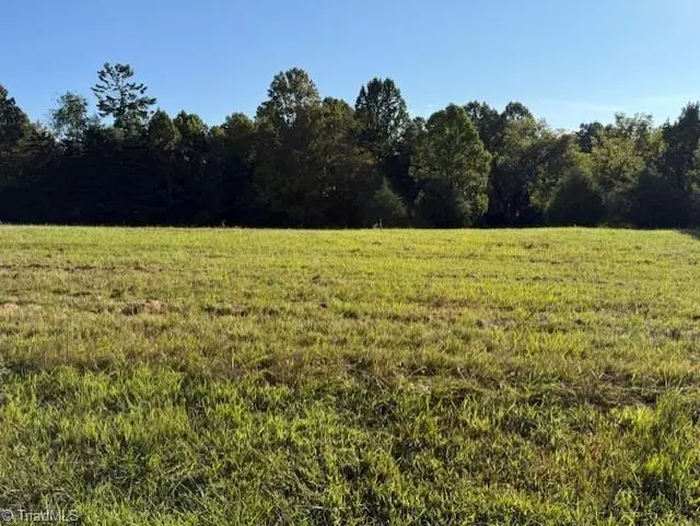 Sandy Ridge, NC 27046,Lot 35 Frank Joyce RD