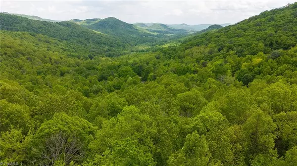 Moravian Falls, NC 28654,0 Cove Gap RD #Offering #1