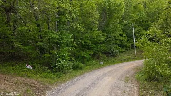 Moravian Falls, NC 28654,0 Cove Gap RD #Offering #1