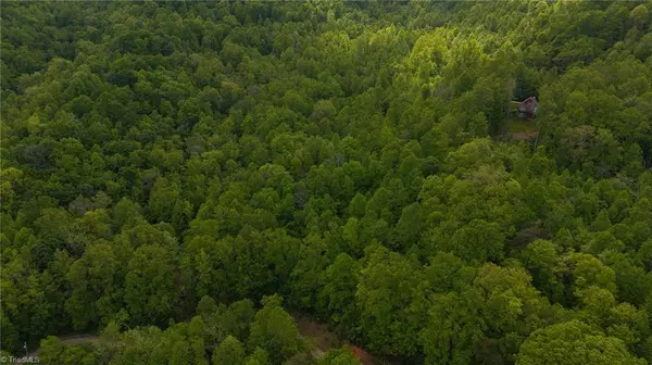 Moravian Falls, NC 28654,0 Cove Gap RD #Offering #1