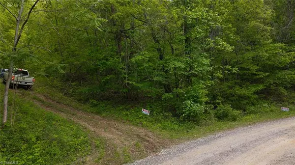 Moravian Falls, NC 28654,0 Cove Gap RD #Offering #1