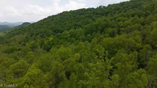 Moravian Falls, NC 28654,0 Cove Gap RD #Offering #1