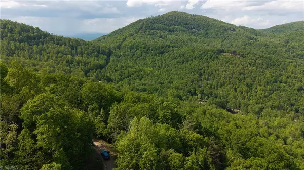 Moravian Falls, NC 28654,0 Cove Gap RD #Offering #3
