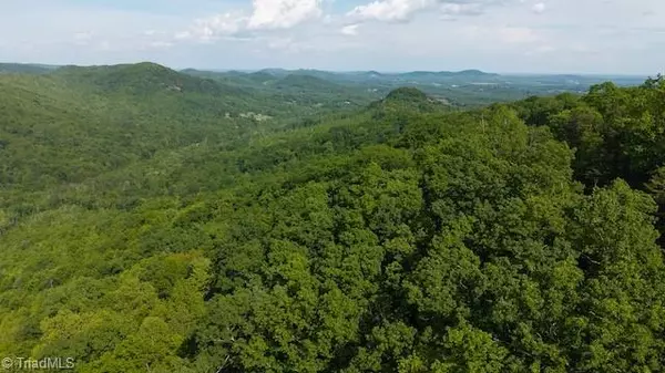 Moravian Falls, NC 28654,0 Cove Gap RD #Offering #3