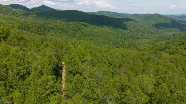 Moravian Falls, NC 28654,0 Cove Gap RD #Offering #3