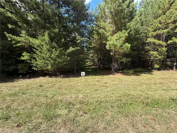 Providence, NC 27315,Lot 6 Park Springs RD