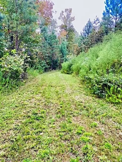 Roxboro, NC 27574,00 Pulliam Tingen Mine RD