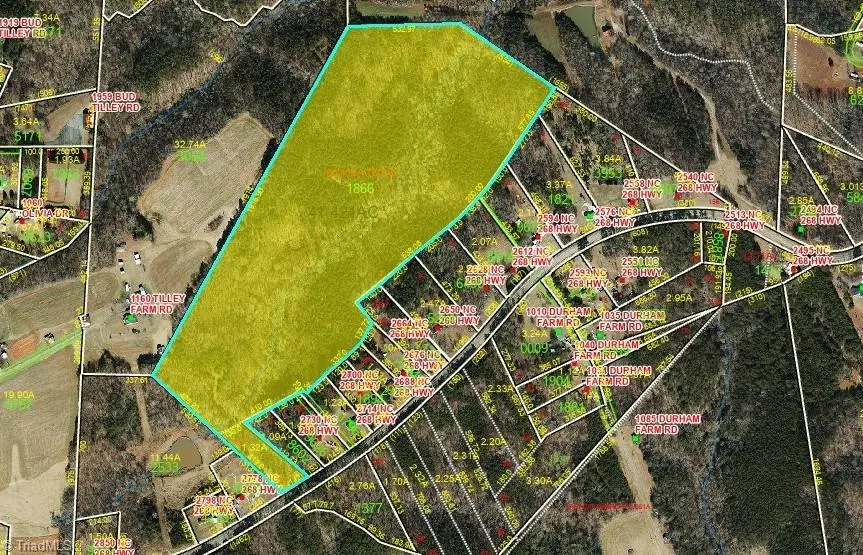 Pinnacle, NC 27043,xx-41acres+- NC Highway 268