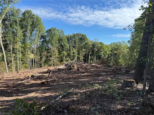 Madison, NC 27025,00 Massey Creek RD