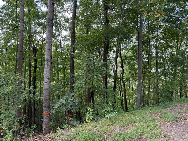 Moravian Falls, NC 28654,000 Price RD