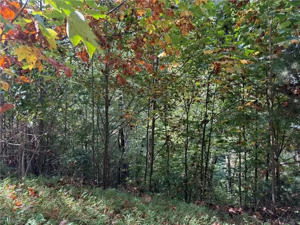 Moravian Falls, NC 28654,000 Price RD