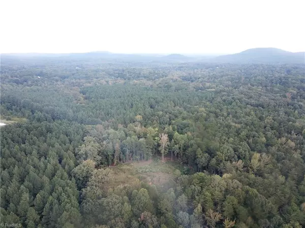 Trinity, NC 27370,0000 Thayer RD