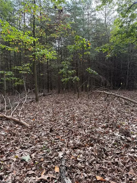 East Bend, NC 27018,Lot 2 Ruff Hollar DR