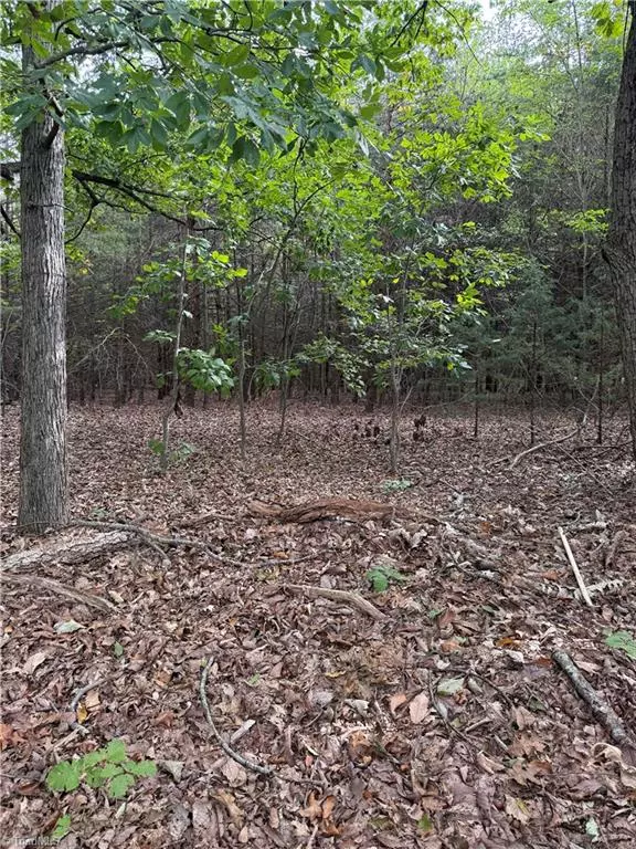 East Bend, NC 27018,Lot 2 Ruff Hollar DR
