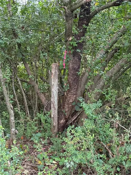 Lot 3 Ruff Hollar DR, East Bend, NC 27018