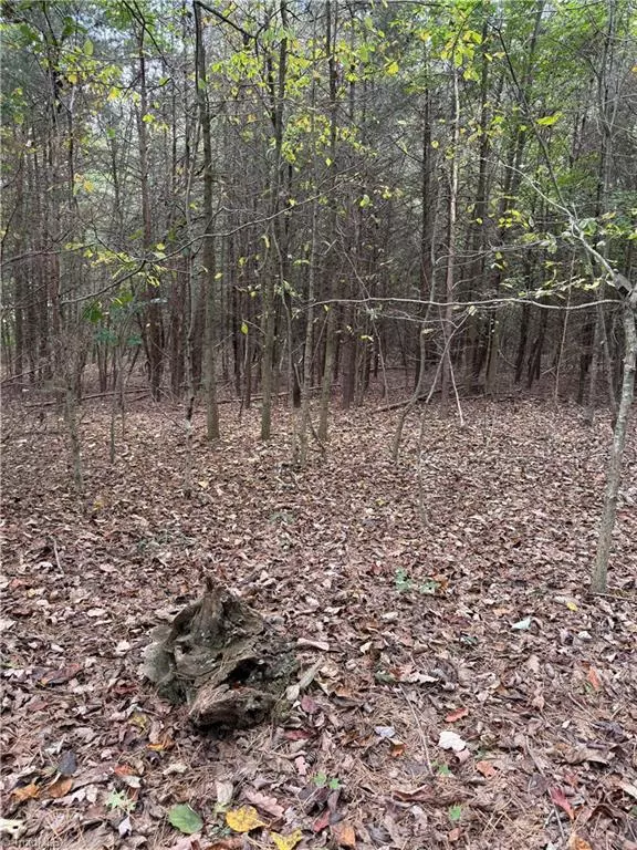 East Bend, NC 27018,Lot 3 Ruff Hollar DR