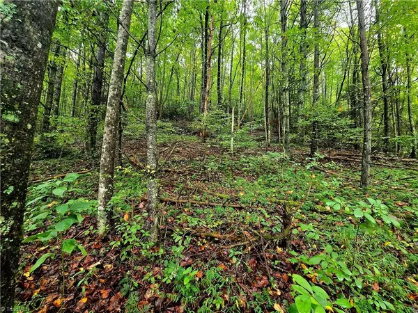 Millers Creek, NC 28651,Lot 6 & 7 N Old NC Highway 16