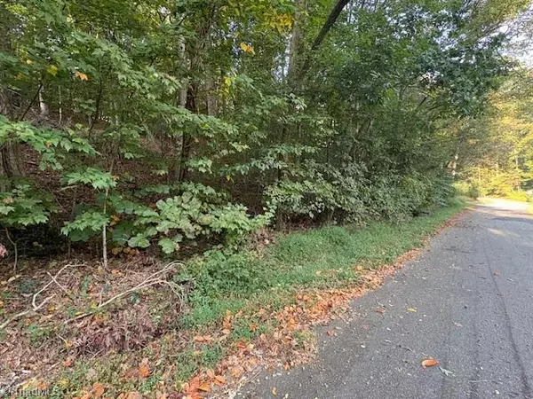 Wilkesboro, NC 28697,TBD Holly Tree DR