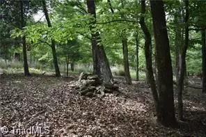 Traphill, NC 28685,000 Grandview CIR