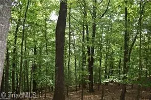 Traphill, NC 28685,000 Greenstreet DR