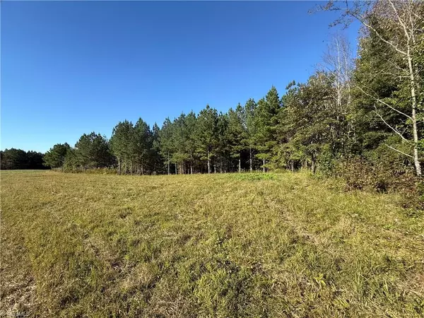 Providence, NC 27315,Lot 12 Park Springs RD