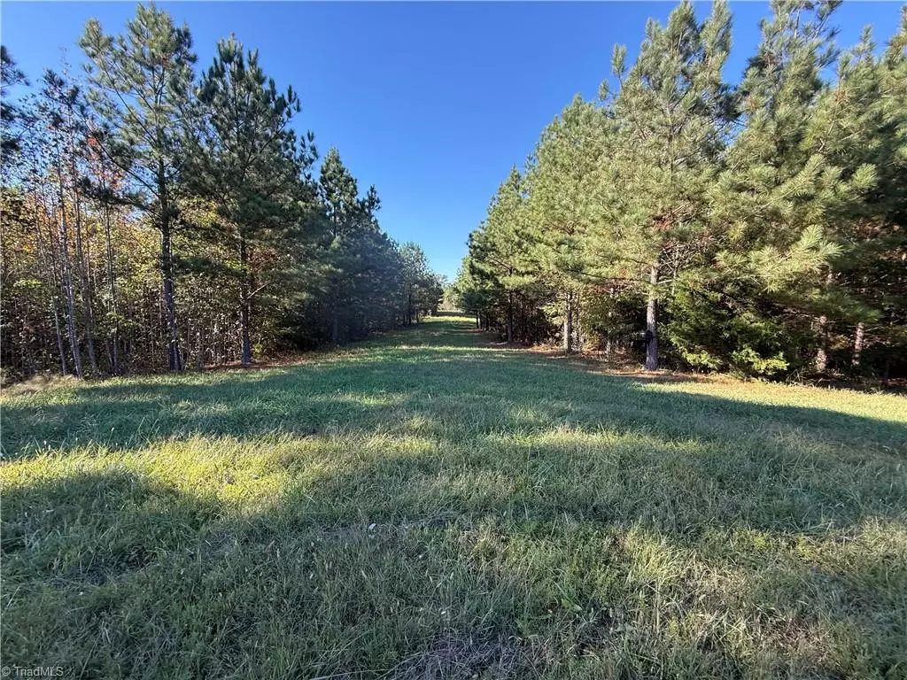 Providence, NC 27315,Lot 12 Park Springs RD