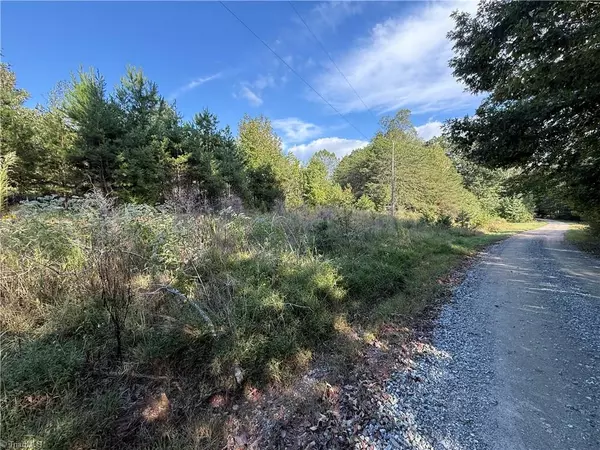 Providence, NC 27315,0 lot 1 Easy ST