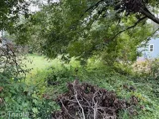 Burlington, NC 27217,TBD Grace AVE