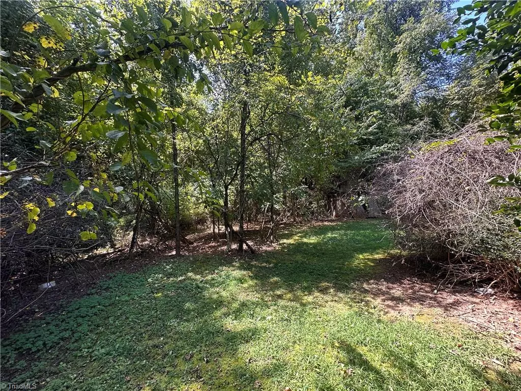 Thurmond, NC 28683,153 Pineway LN