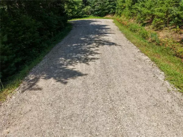 Mcgrady, NC 28649,000 Antler DR