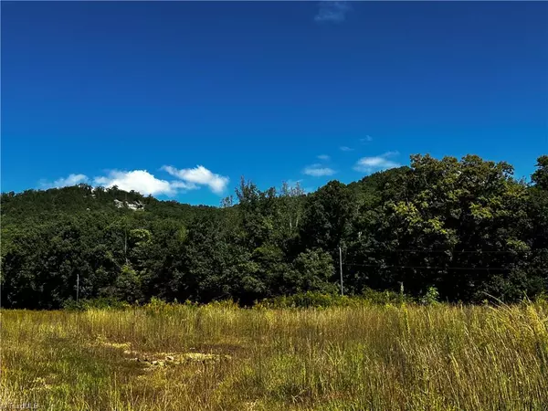 King, NC 27021,0 Reid RD
