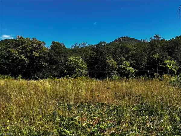 King, NC 27021,0 Reid RD