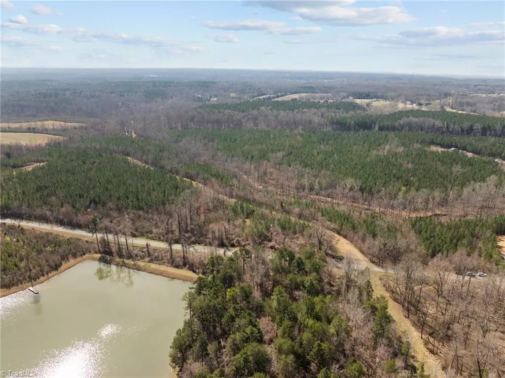 Pleasant Garden, NC 27313,Tract #1 Minden RD