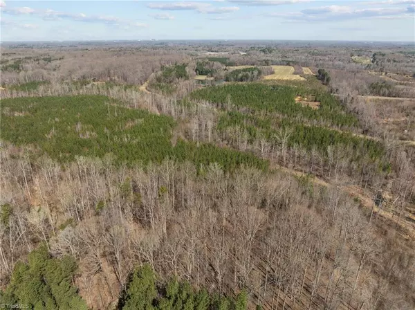 Pleasant Garden, NC 27313,Tract #1 Minden RD