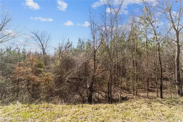 Pleasant Garden, NC 27313,2620 Minden RD