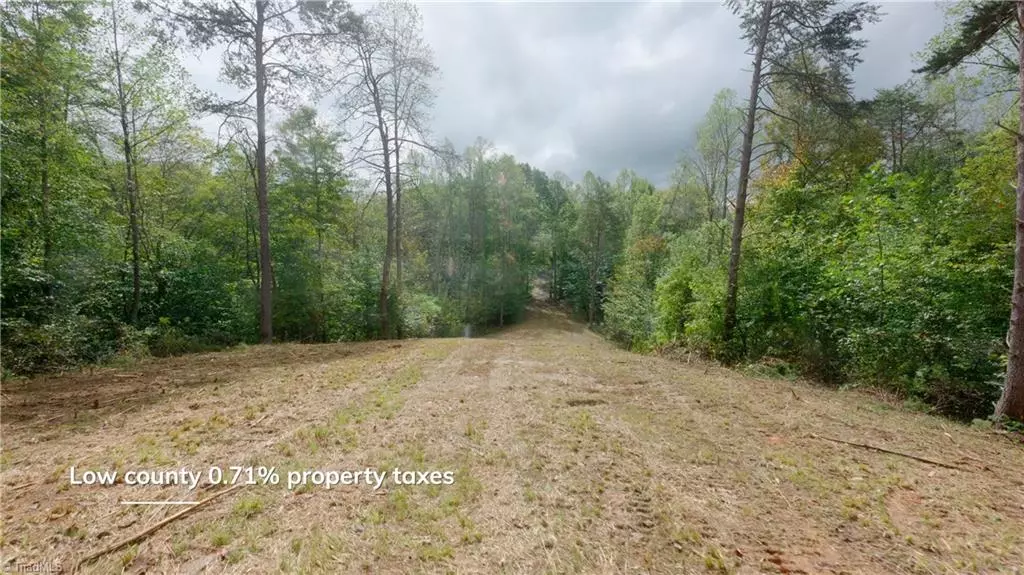 Danbury, NC 27016,1582 Seven Island RD