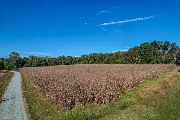 Ruffin, NC 27326,Lot 1 A Joe Cobb RD