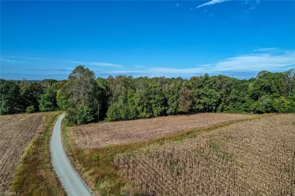 Ruffin, NC 27326,Lot 1 A Joe Cobb RD