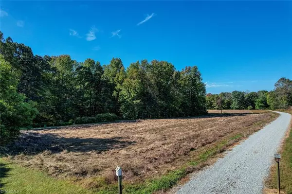 Ruffin, NC 27326,Lot 1B Joe Cobb RD