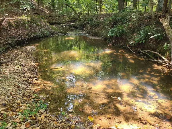 Pilot Mountain, NC 27041,00 Grassy Knob RD #47