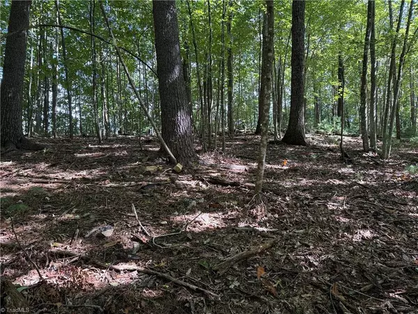 Purlear, NC 28665,Lot 229 Deer RUN