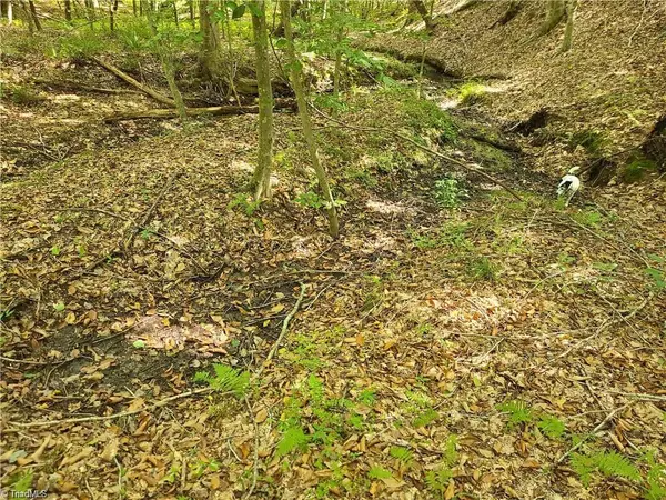 Pilot Mountain, NC 27041,00 Grassy Knob RD #25