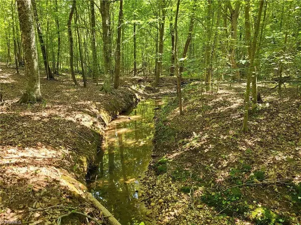 Pilot Mountain, NC 27041,00 Grassy Knob RD #25