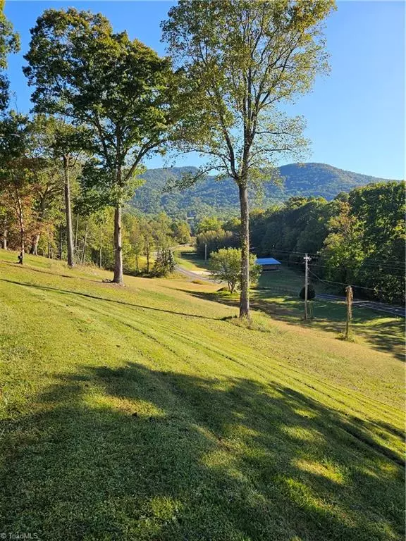 Lowgap, NC 27024,158 Martha Lowe RD